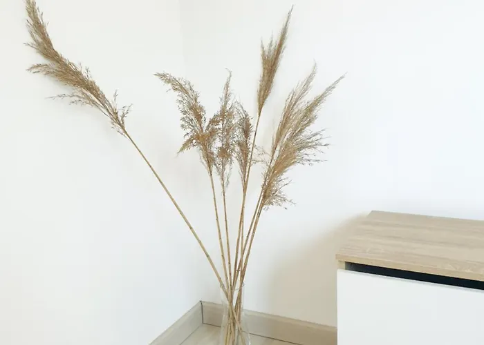 Plume - Comme A La Maison Apartamento