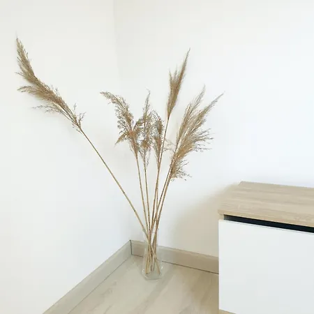 Plume - Comme A La Maison Apartment